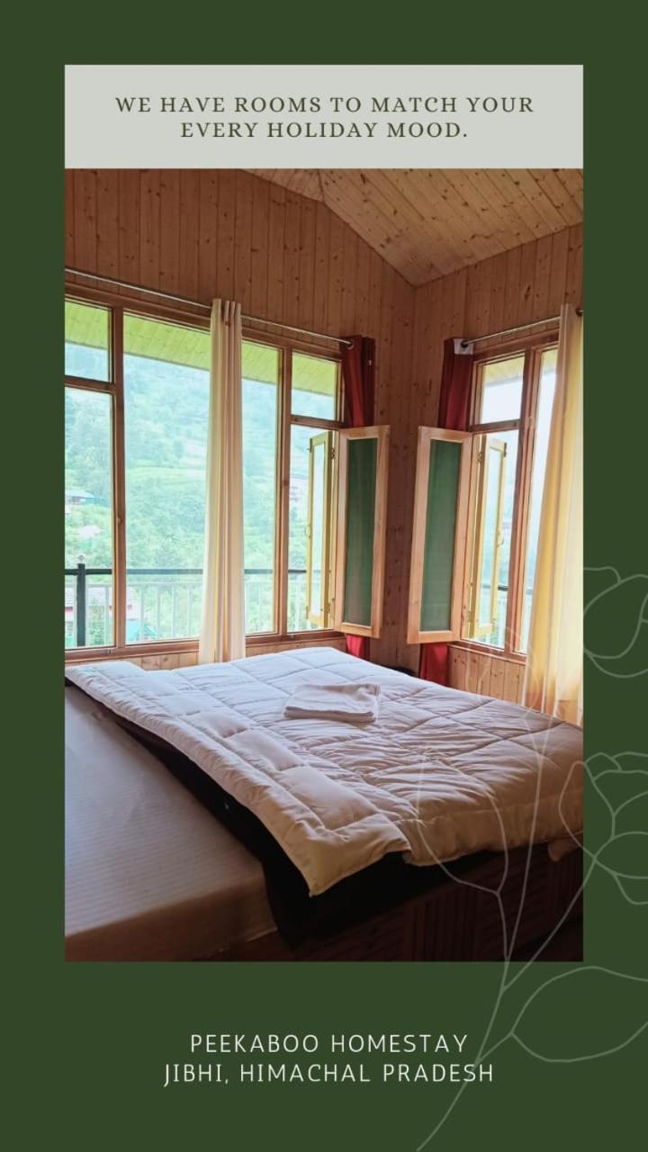 Peekaboo Stays Jibhi Room photo